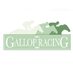 Gallop Racing (@gallop_racing) Twitter profile photo