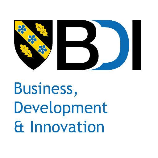 Business Development Profile