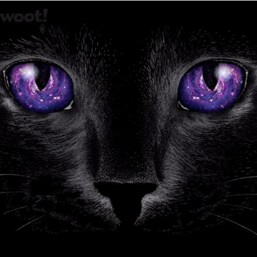 ebynog's profile picture. Financial Analyst/Director of Facilities @ CLTCC. Avid NASCAR and Castle fan. Lover of animals. Introspective. I'm a hugger! Consumer of dihydrogen monoxide.