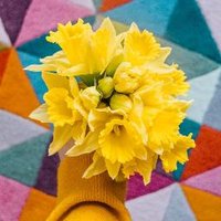 Cardiff Bloggers (@cardiffbloggers) 's Twitter Profile