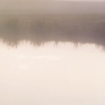 Ni_MH9's profile picture. ロード / トレッキング / ゲーム音楽 / Mac / iPhoneであれこれ / 954ナー