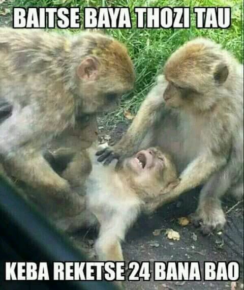 monnawamosotho's profile picture. 