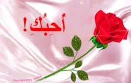 HalalHalalh840's profile picture. ‏حب وغرام
‏‏‏اسيرالغربه