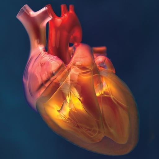 Beyond the Scalpel - Innovative Therapies for Valvular Heart Disease