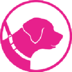 Providing superior service since 2001, at NYC Dog Walkers you and your dog's happiness is our main concern!