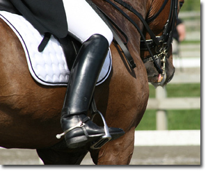 Dressage BC  - news, shows, results & clinics.  
http://t.co/7lPT6UbxcB
email: dressagebc@facebook.com