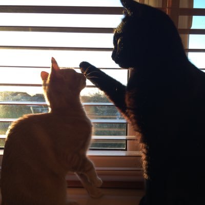 Mark_Damen's profile picture. 