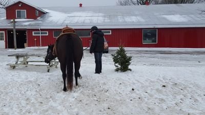 Mom, Horse lover and owner, Researcher and always learning