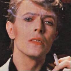posting gifs of David Bowie
