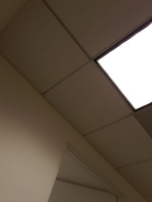 hermanator71's profile picture. 