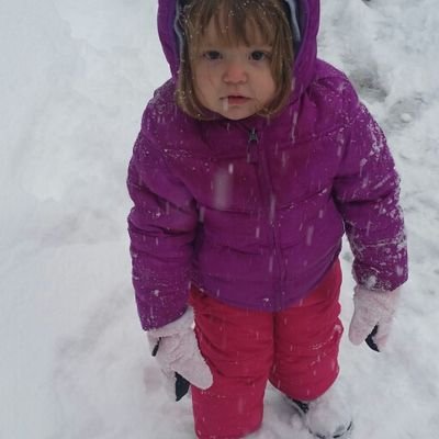 DarrenEhly's profile picture. 