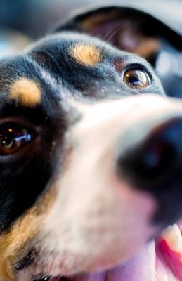 ErikVKirk's profile picture. Rambling through the avenues of time