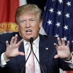 TrumpHands's profile picture. 