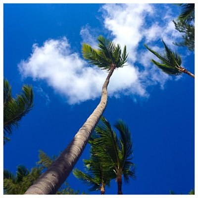 PointsWithNick's profile picture. I'm off on an adventure