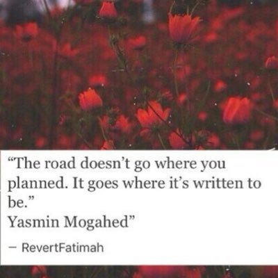 LLoamo's profile picture. Would you ever?