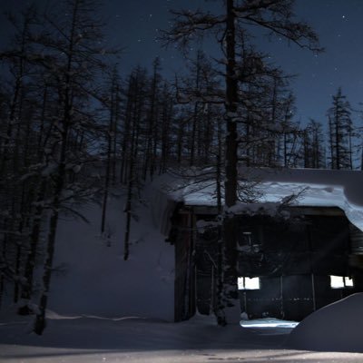 tundrovichokSSP's profile picture. 