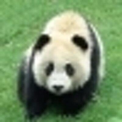 510BrotherPanda Profile Picture