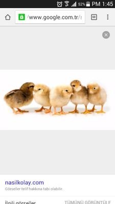 Fatoahi53052469's profile picture. 