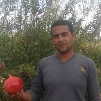 r0fvNCWP2CTuj2y's profile picture. 