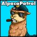AlpacaPatrol (@alpacapatrol) artwork