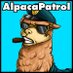 AlpacaPatrol (@alpacapatrol) Twitter profile photo AlpacaPatrol (@alpacapatrol) Twitter profile photo