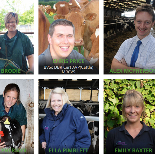 Farm services throughout Wiltshire & surrounding counties.
With our experienced team we aim to be be at the forefront of best farming practice. Member of Xlvets