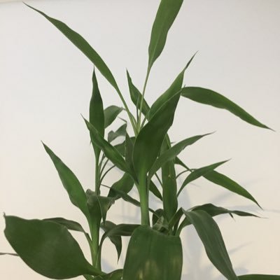 fader141's profile picture. 