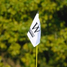 Woffordwgolf's profile picture. 