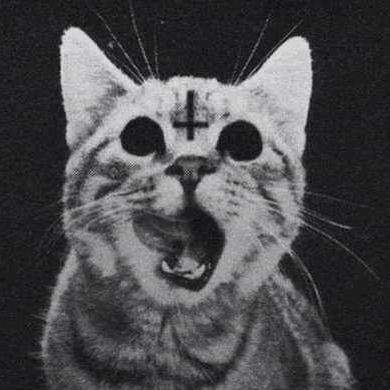 Ænima ⛧𓃵♫♪☭ 🇨🇺 🇸🇾 🇵🇸 🇾🇪 🇱🇧 🔻さんのプロフィール画像