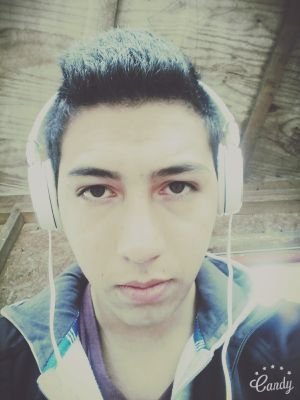 DanielDalcahue's profile picture. 