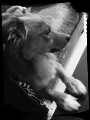 flouc25hotmailf's profile picture. 