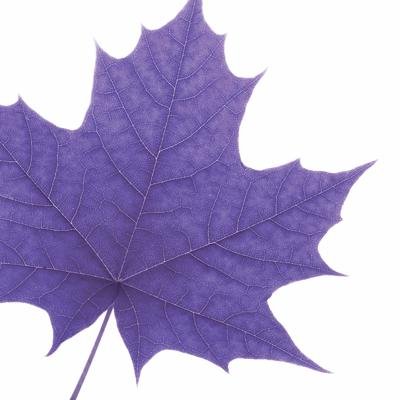 The official Twitter account for faculty-focused news and resources from Teaching and Learning at Laurier | Administered by the T&L Communications Coordinator