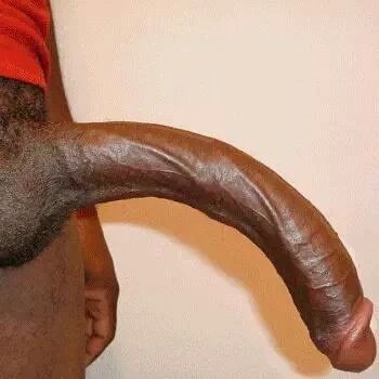 kaled7hamad's profile picture. 