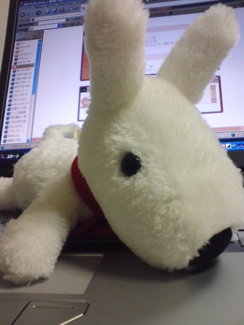 inyocchi's profile picture. 人材会社でDXプロジェクトを推進中 / PdM、EM、カスタマーサクセス / アジャイル開発、仮説検証好き / 一児の父