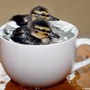 Nancy Wingert - @NancyWinNM - Twitter