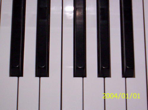 timsid7121's profile picture. 