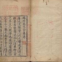 王安石专业学者 (@aeoppper) 's Twitter Profile