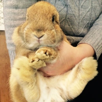 SHIMA_Shimac0's profile picture. 監査法人に勤務する公認会計士。男の子&女の子ママ。のんびり生きてます。