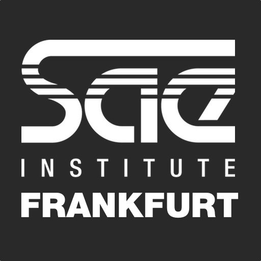 Praxisstudium: An der SAE Frankfurt bieten wir an: Audio Engineering, Music Business, Digital Film Production, Webdesign, Crossmedia, Game Art und Programming