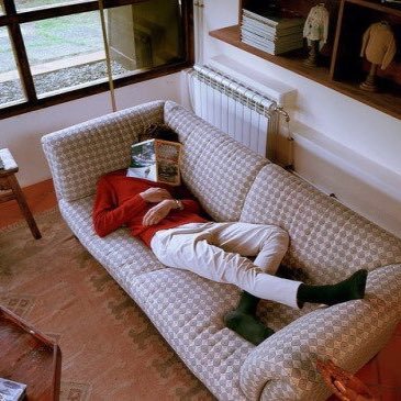 cheesedal's profile picture. 아니라고