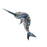 Team 3128 (@team3128) 's Twitter Profile