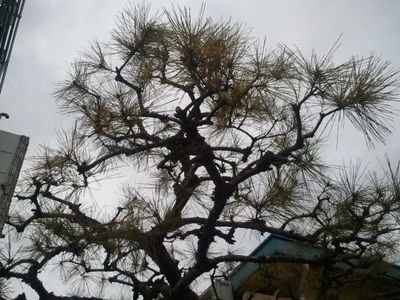 miHSrfniWPbCSwn's profile picture. 