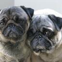 Sue Newman - @newsuse - Twitter