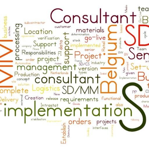 SAP SD MM LE Senior Logistics Consultant Team Lead Project Delivery