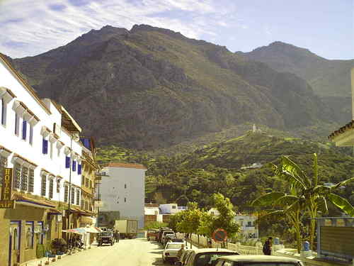 Alfafar's profile picture. 