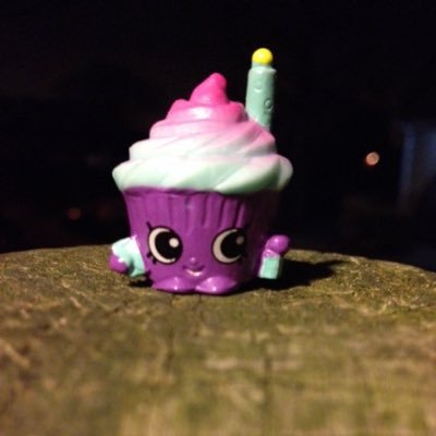 Shopkins lover here please follow!