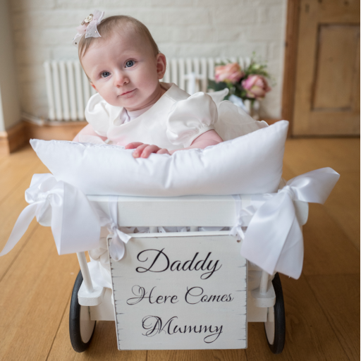 Baby Wedding Carriages - the new and exclusive way to involve babies, toddlers and now also dogs in your wedding ceremony!