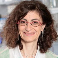 Geneviève Almouzni (@galmouzni) 's Twitter Profile Photo Geneviève Almouzni (@galmouzni) 's Twitter Profile Photo