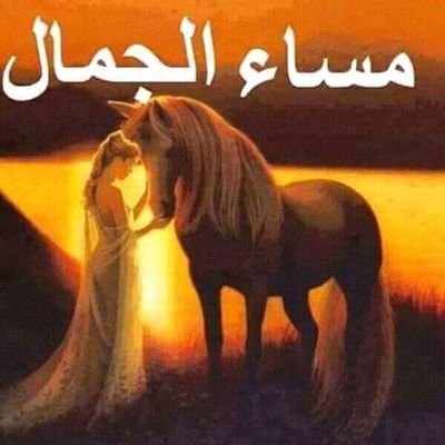 8UDPlYMSZVbWEhT's profile picture. 