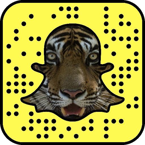 Our mission is to amplify school spirit, by empowering students and fans of tiger mascot colleges to save tigers